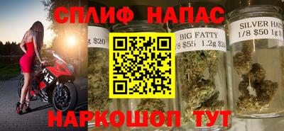 гашик Ливны