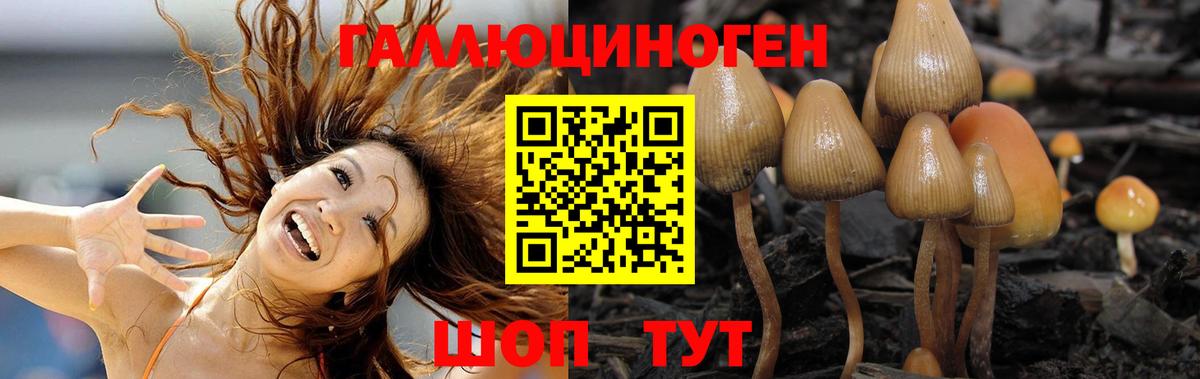 Учалы  Псилоцибиновые грибы Magic Shrooms  где продают   Псилоцибиновые грибы мицелий  Вход с VPN 